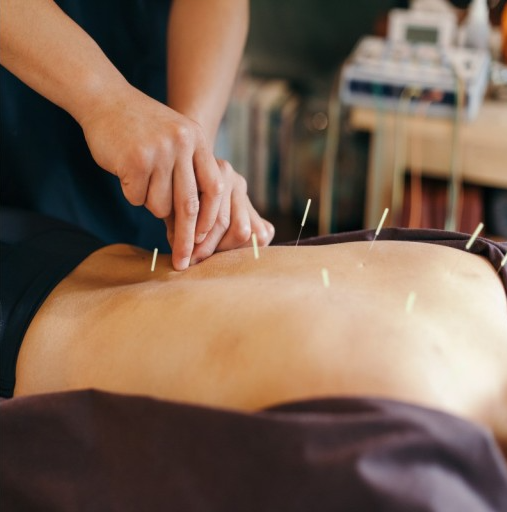 대체의학의 한방 치료법: 현대 의학과의 접목 가능성