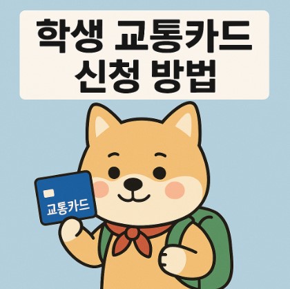 학생 교통카드 신청방법