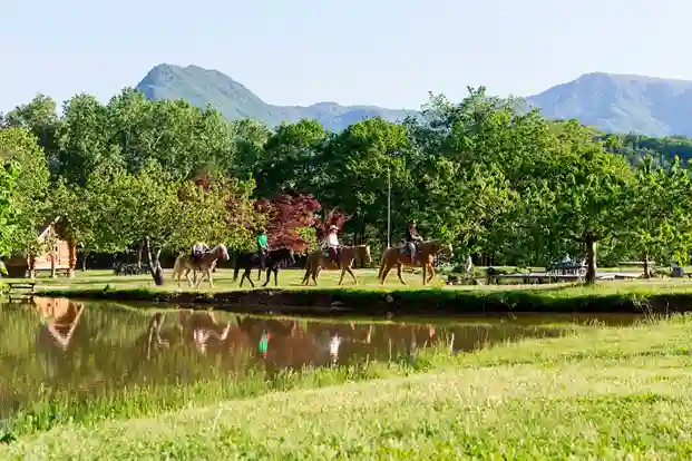 삿포로 숲속 승마 체험 초보자도 가능한 현지 인기 액티비티 일본