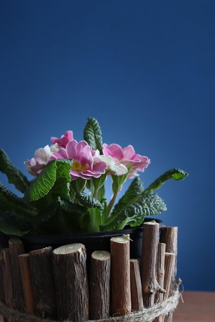 조경형 베란다 꾸미기