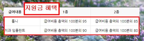 만65세이상 치과혜택