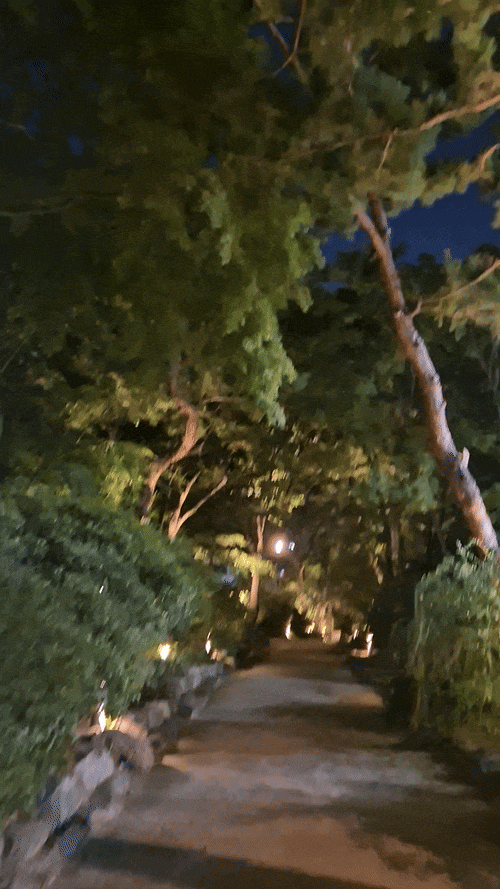 덕수궁 정원 길