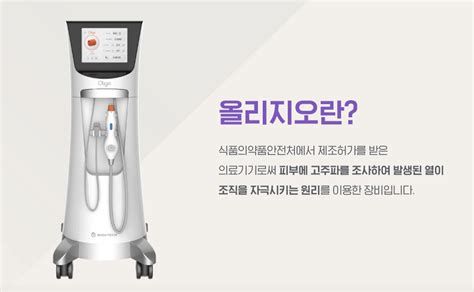 올리지오리프팅 가격