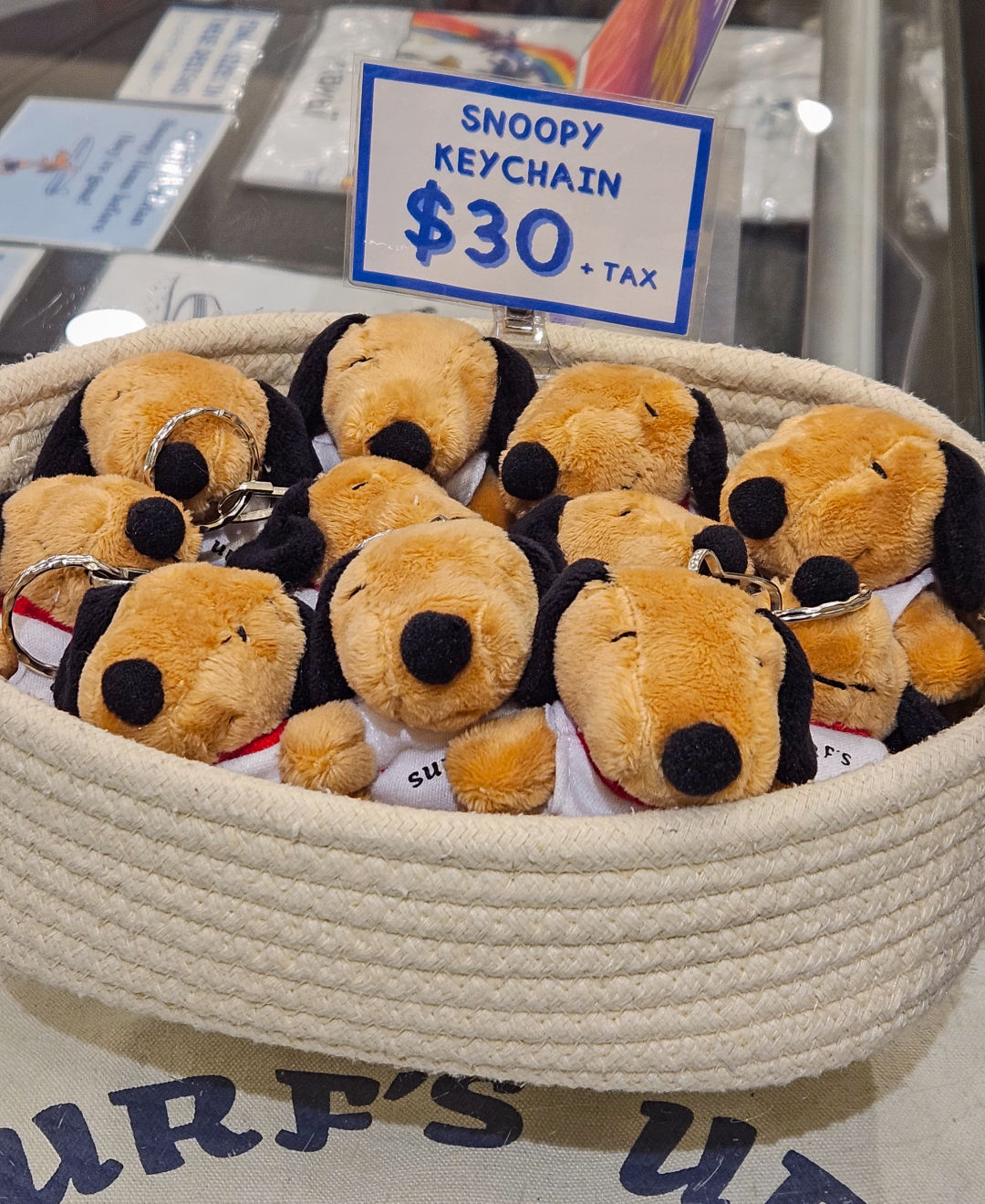 하와이 모니 태닝 스누피