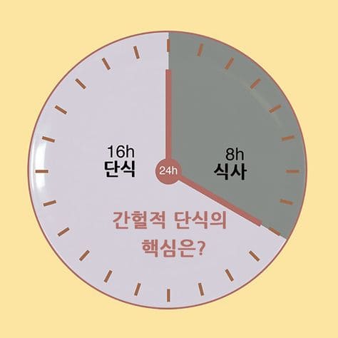 간헐적단식