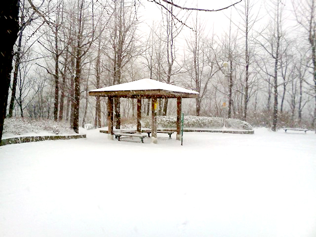 홍제동 고은산 하얀눈밭