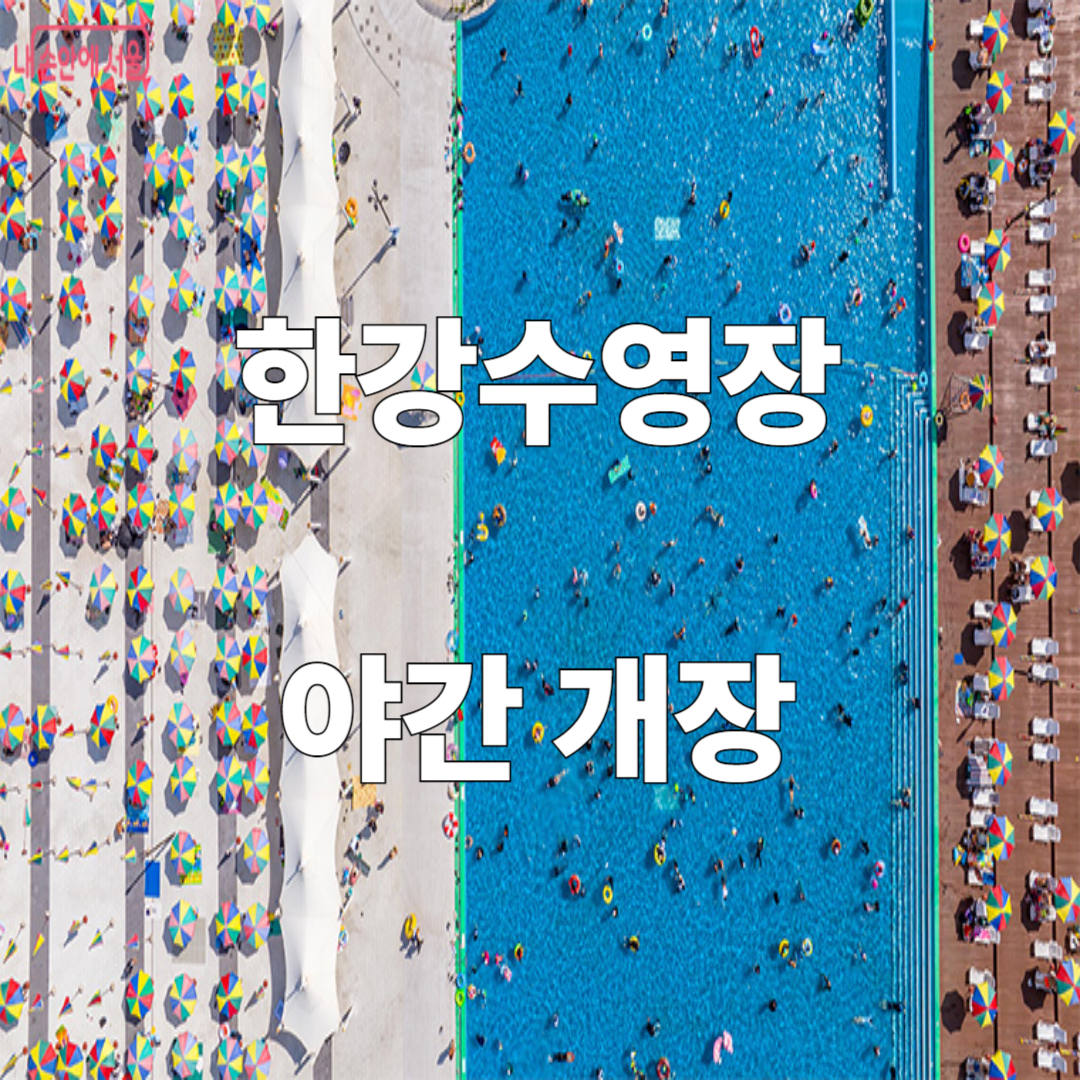 2025 한강수영장 야간개장 총정리