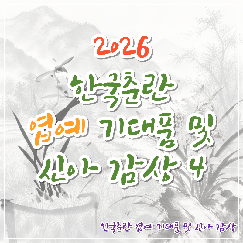 한국춘란 엽예 기대품 및 신아 감상4