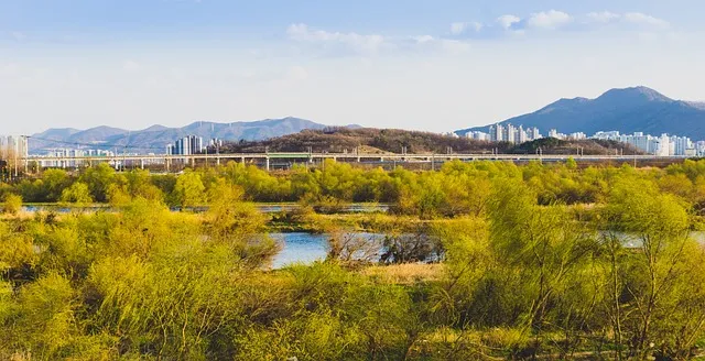 서대구역 ktx 시간표 요금 예매_6