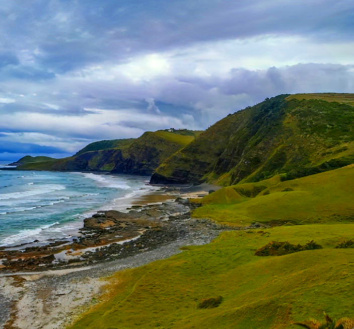남아프리카 공화국 케이프타운으로 푸른 바다와 초원이 펼쳐져 있는 모습