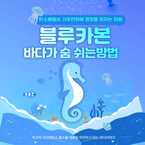 블루카본, 바다가 숨 쉬는 방법