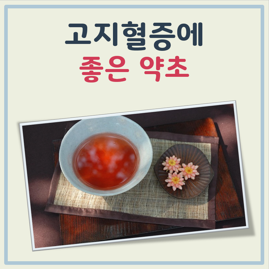 고지혈증에 좋은 약초 대표 이미지