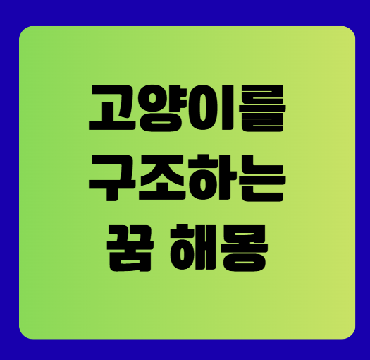 고양이를 구조하는 꿈 해몽 풀이
