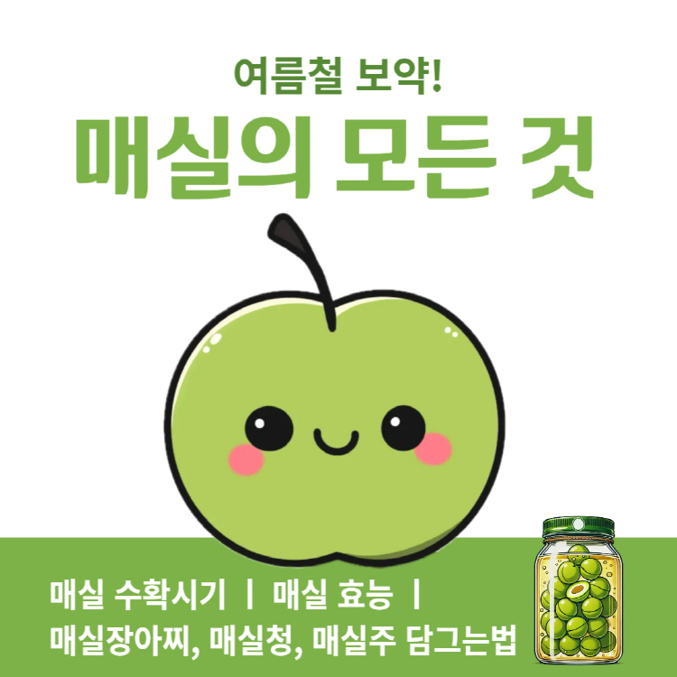 매실 수확시기 매실 효능 완벽정리(+매실장아찌 매실청 매실주 담그는법)
