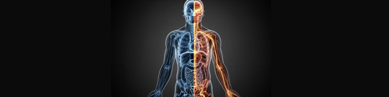 현대의학과 스본스도가 질병에 접근하는 시각의 차이를 보여주는 이미지