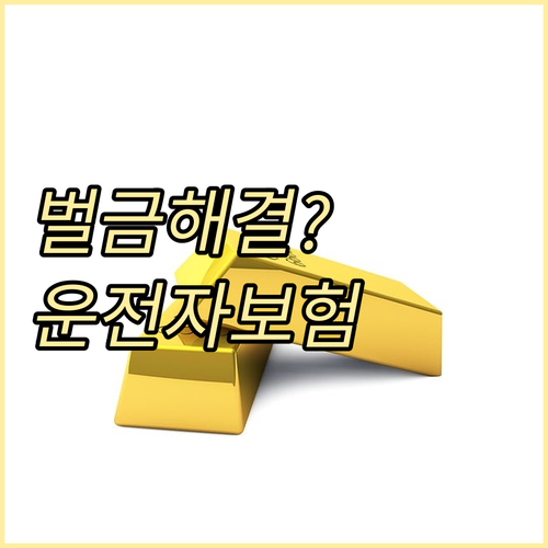 교통사고 벌금, 운전자보험으로 해결:..