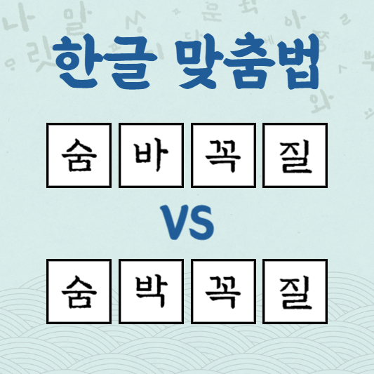 숨바꼭질 숨박꼭질