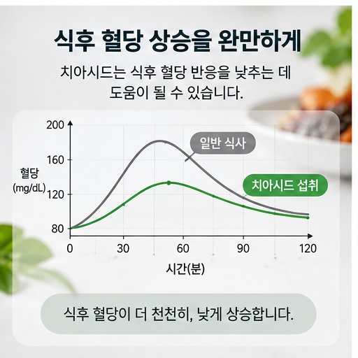 식후 2시간 혈당 반응과 장기간 혈당을 보여주는 당화혈색소를 구분한 인포그래픽