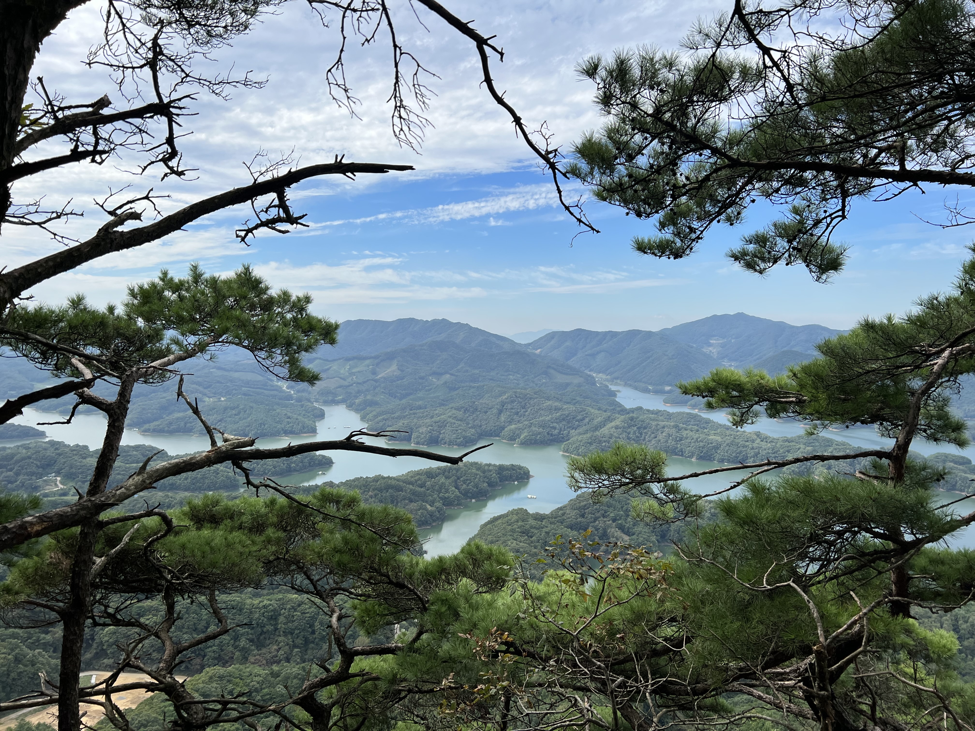 악어봉2