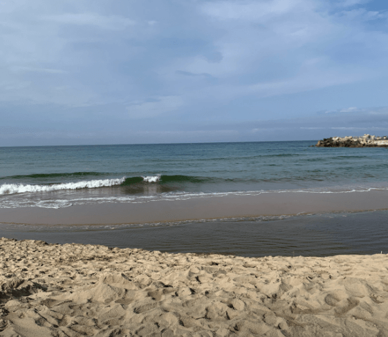 2024 강원도 해수욕장 개장일