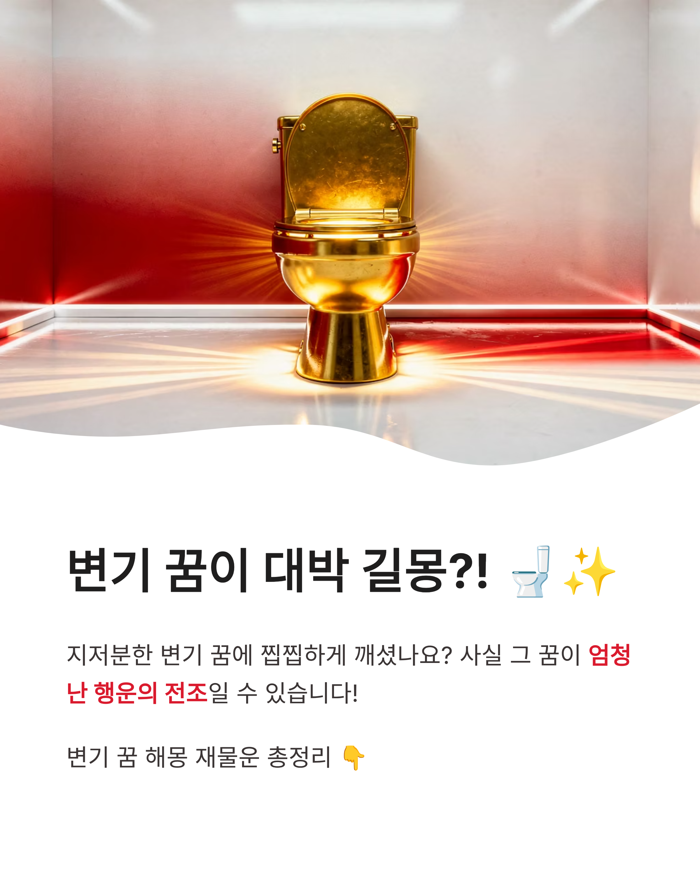 변기와 관련된 좋은꿈, 변기막히는 꿈, 변기청소나 수리하는 꿈 총정리!!