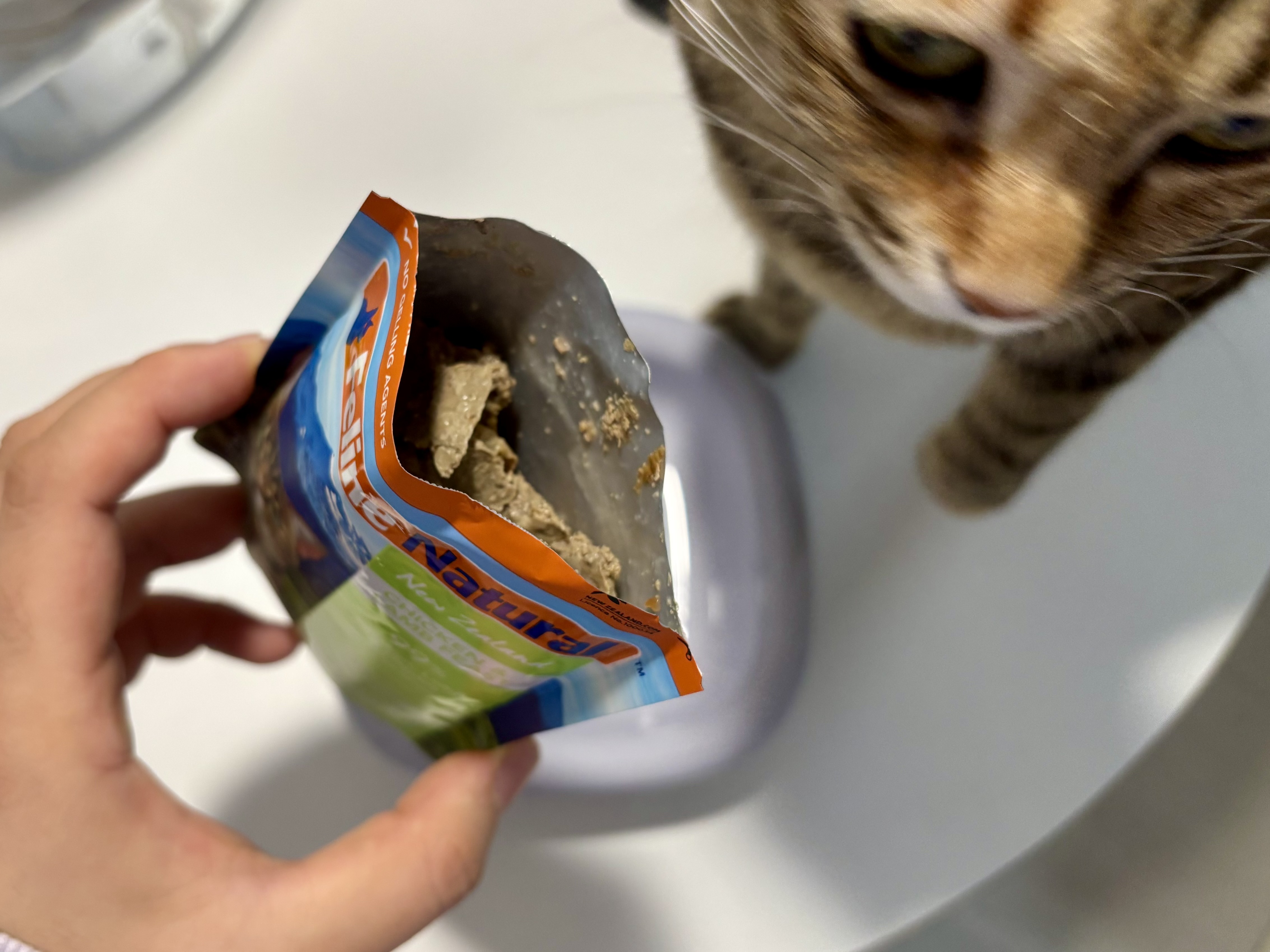 Feline Natural 치킨 &amp; 램 습식 파우치