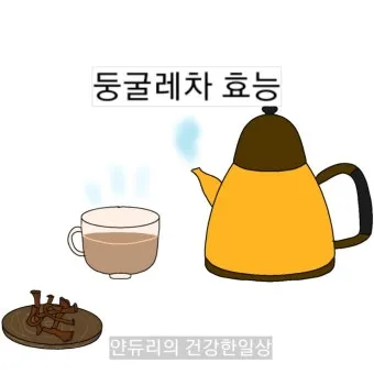 둥글레차 효과 건강에 좋은 차 효능 정리_27