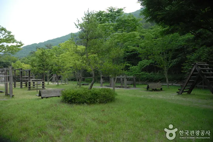 고산 자연휴양림 전경 이미지
