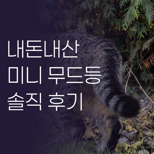 내돈내산 무선 USB 충전식 LED ..