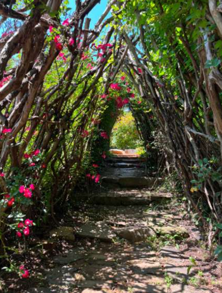 팜카밀레 허브농원