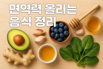 겨울철 면역력을 높이는 식재료