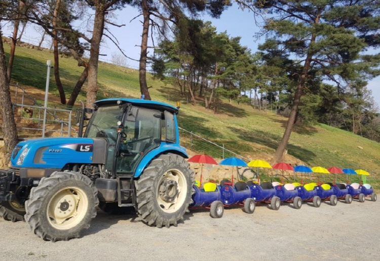 칠곡 가볼만한곳