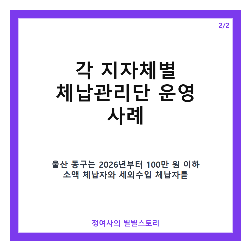 체납관리단의 역할과 운영 방식: 맞춤형 징수와 복지 연계 전략 총정리 카드뉴스 3