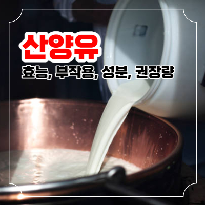 산양유 효능과 부작용 및 하루 권장량 포스팅 이미지