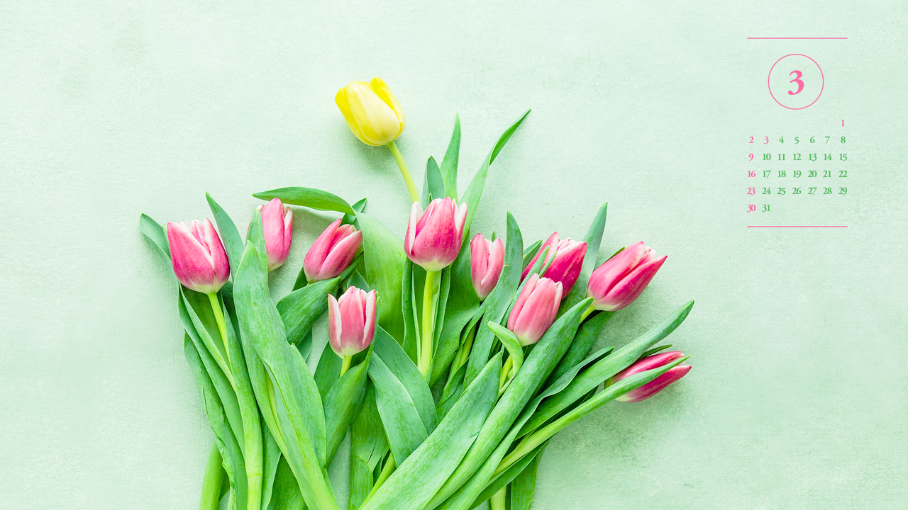 04 튤립 A - 2025년3월 노트북배경화면