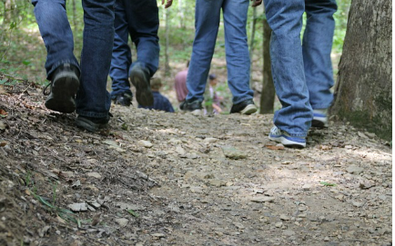 산불신고 앱 스마트 산림재해 설치 바로가기 