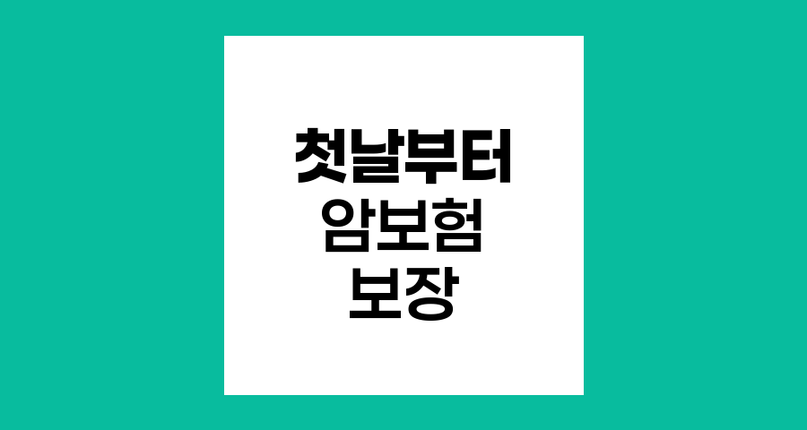 라이나생명 첫날부터 암보험 핵심 정보