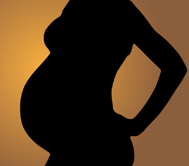 임산부 교통비 지원