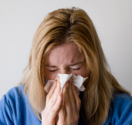 슈다페드정 축농증 부비동염 효능