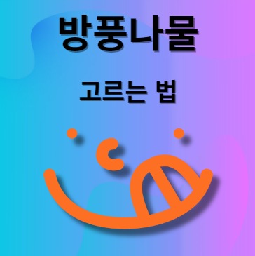 방풍나물 고르는 법