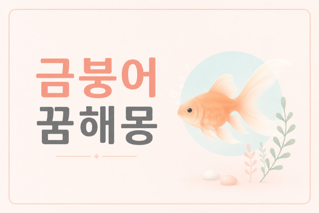금붕어 꿈해몽 상황별 4가지 완벽 정리 (어항에 있는 꿈, 죽는 꿈, 잡는 꿈, 비단 금붕어)