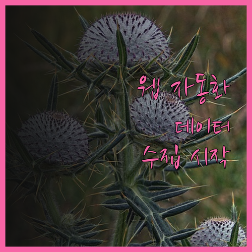 웹 자동화 개발로 꿈꿔왔던 데이터 수