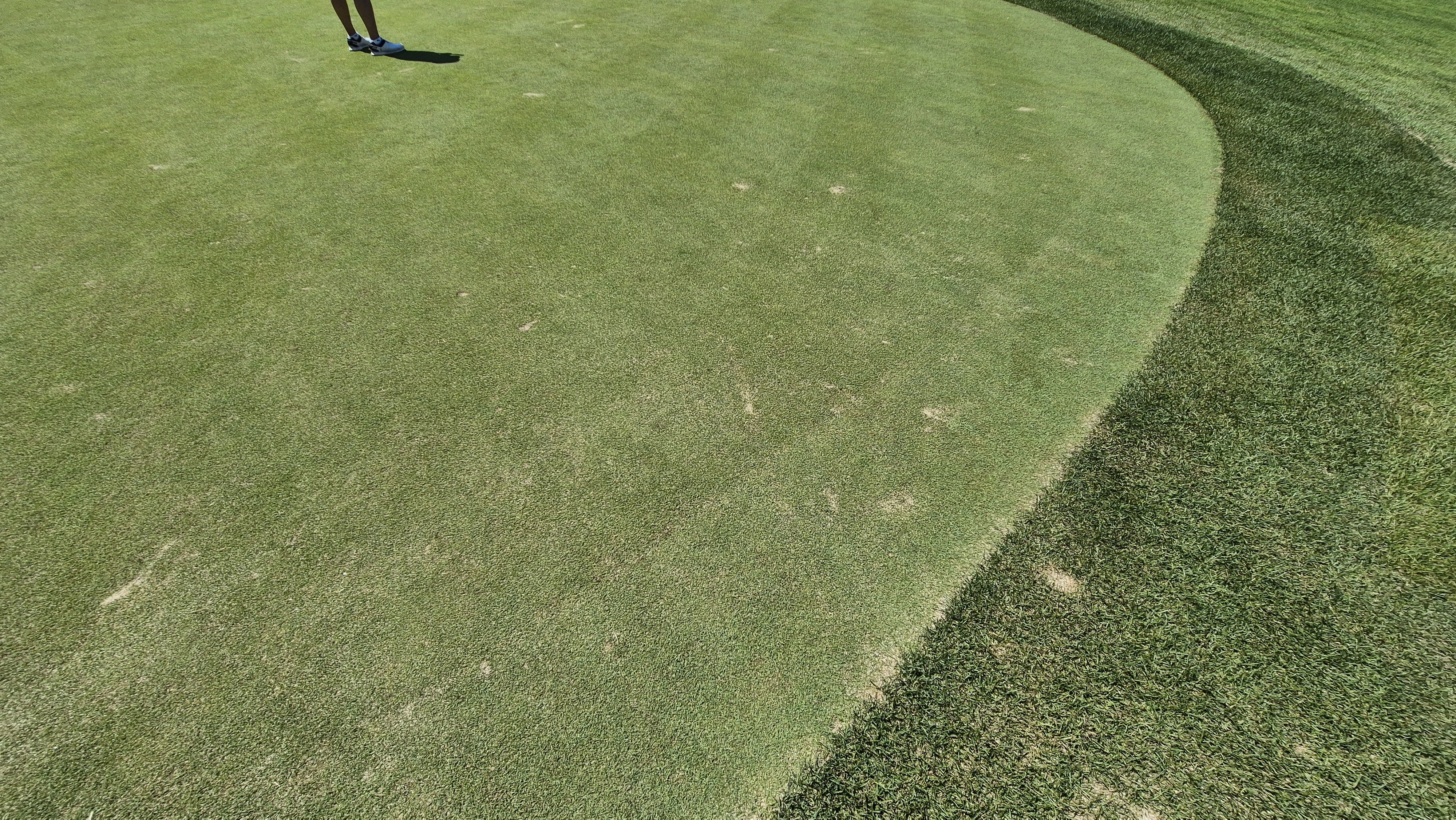 힐데스하임cc 밸리-레이크 코스 라운드 후기