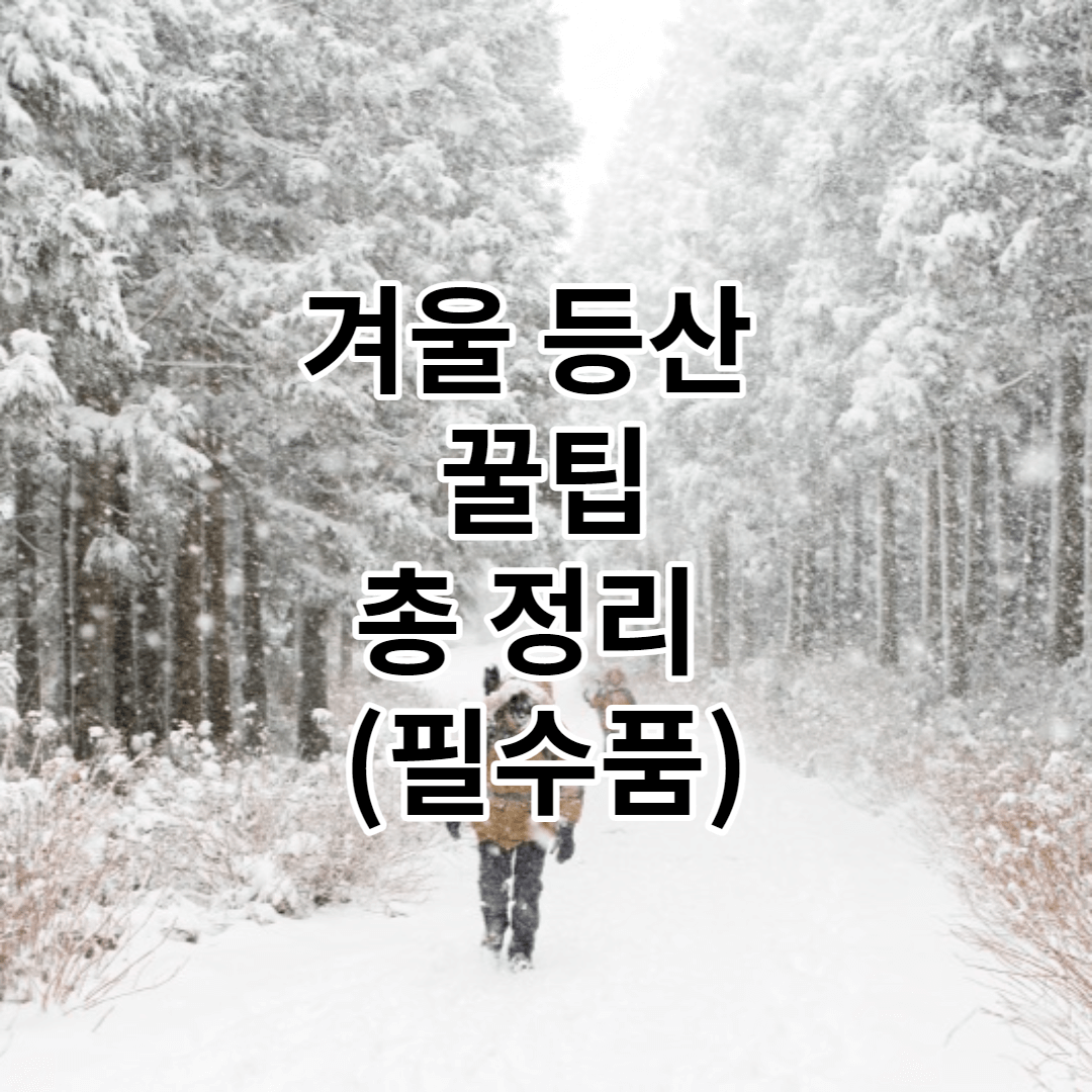 겨울 등산 꿀팁