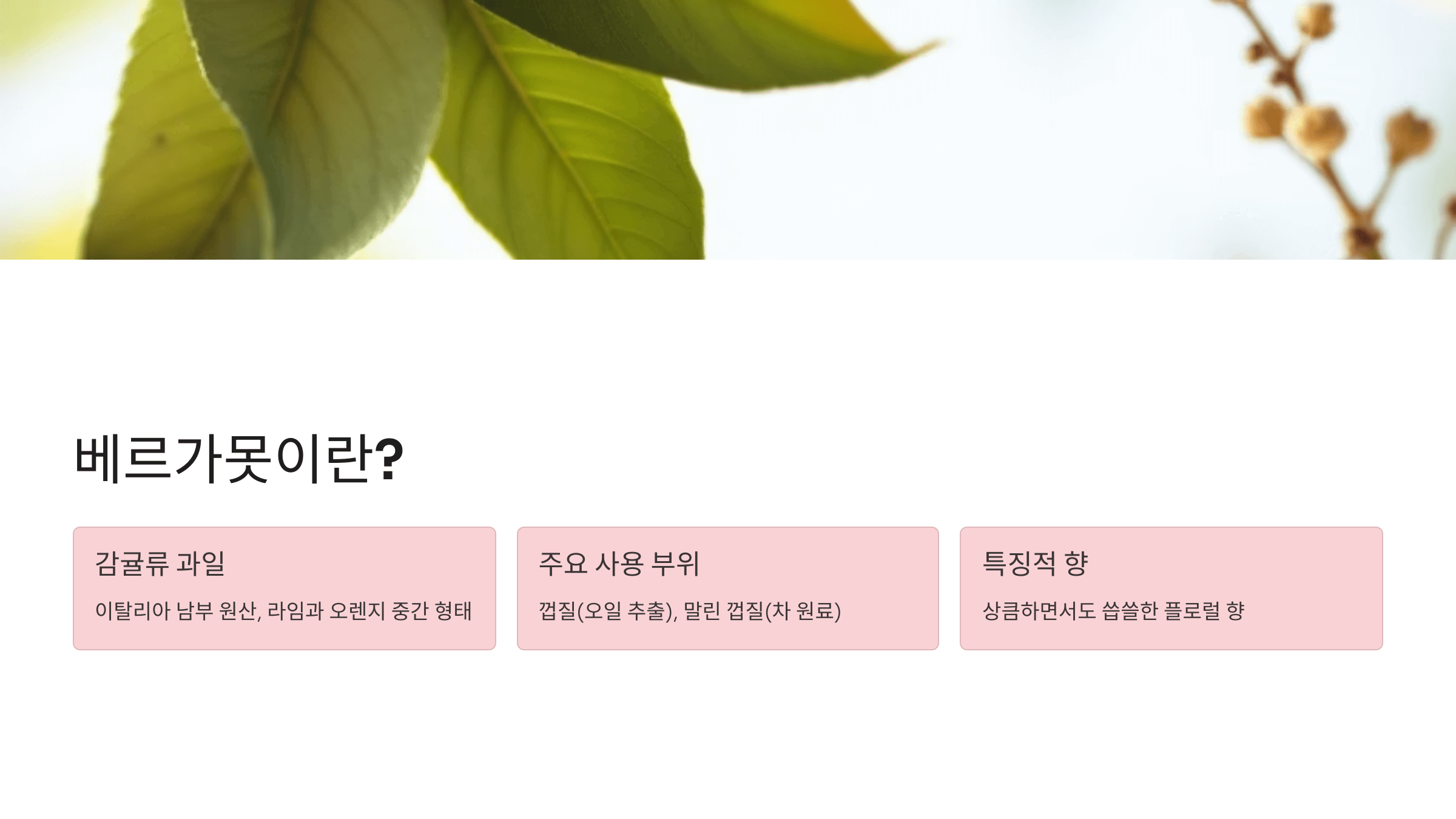 베르가못 사진입니다.