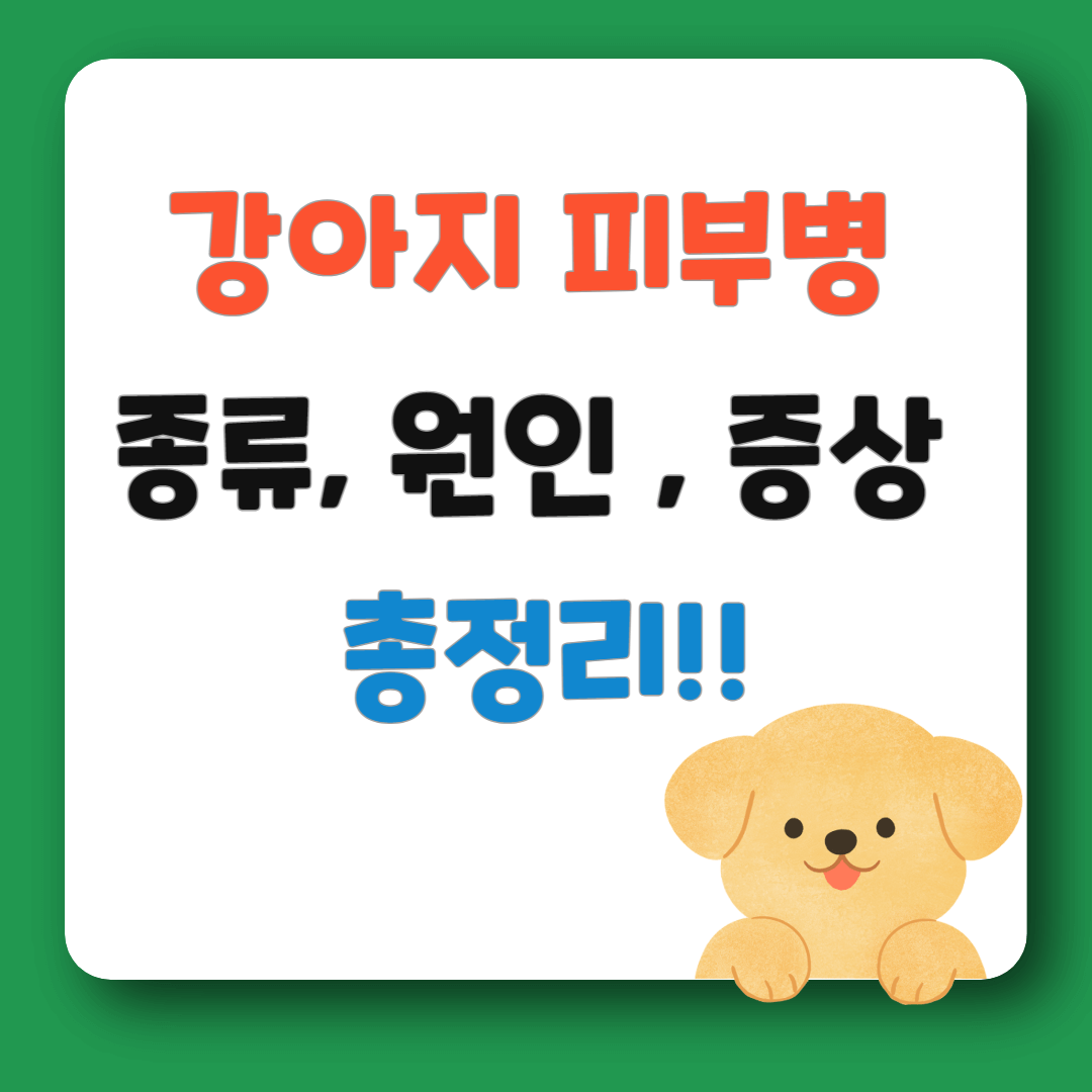 강아지 피부병 종류 총정리