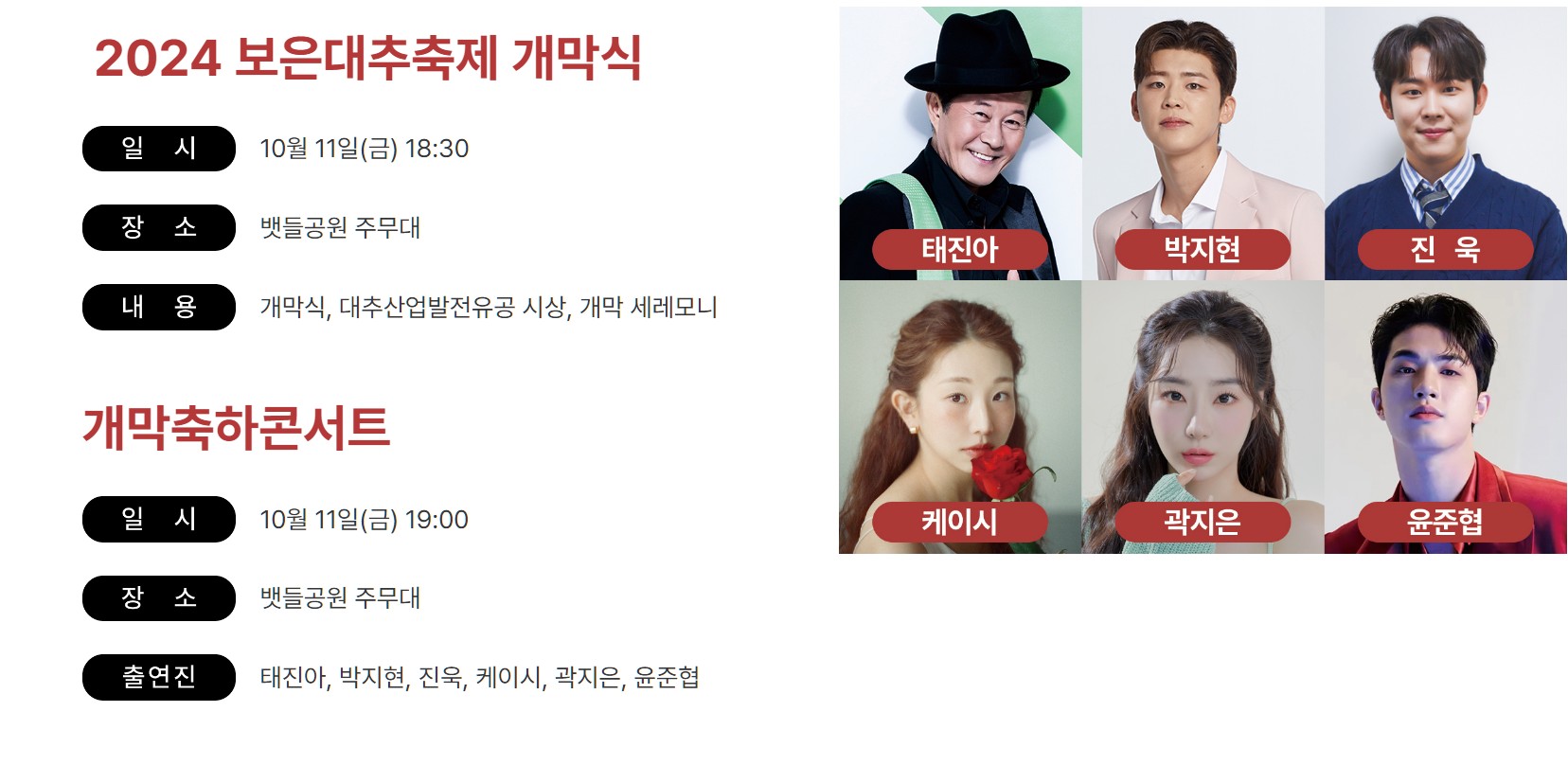 보은 대추축제 가격