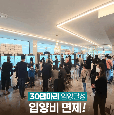 세종 유기동물보호센터