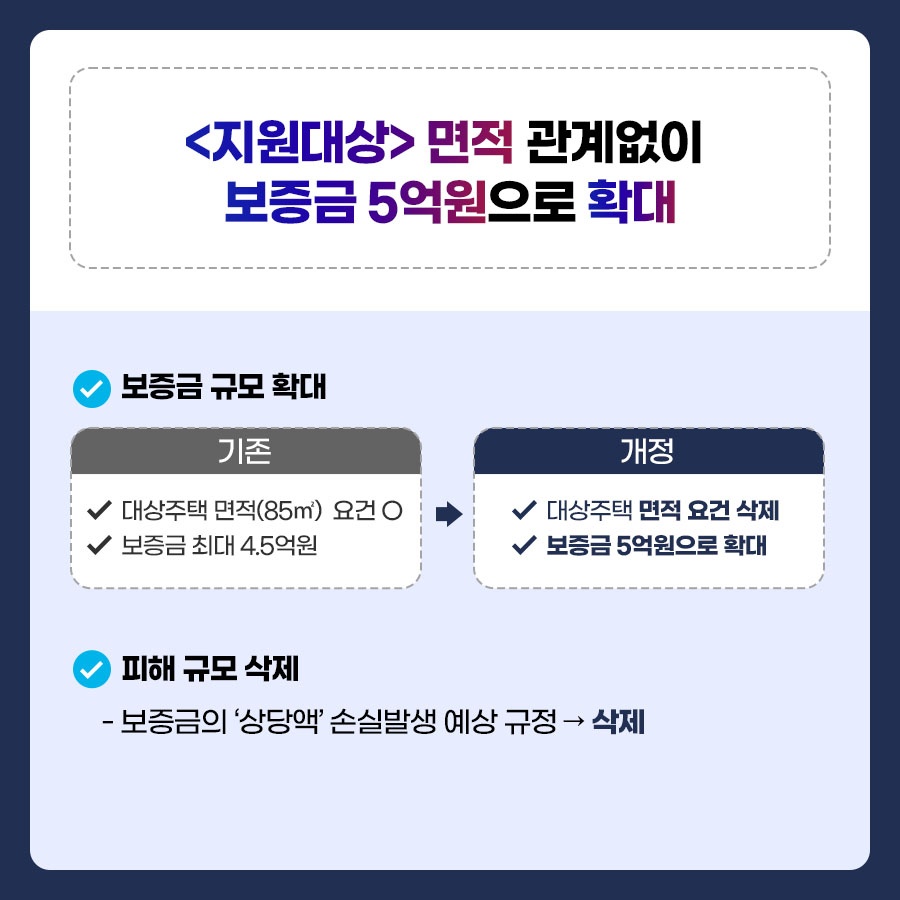전세사기 대책