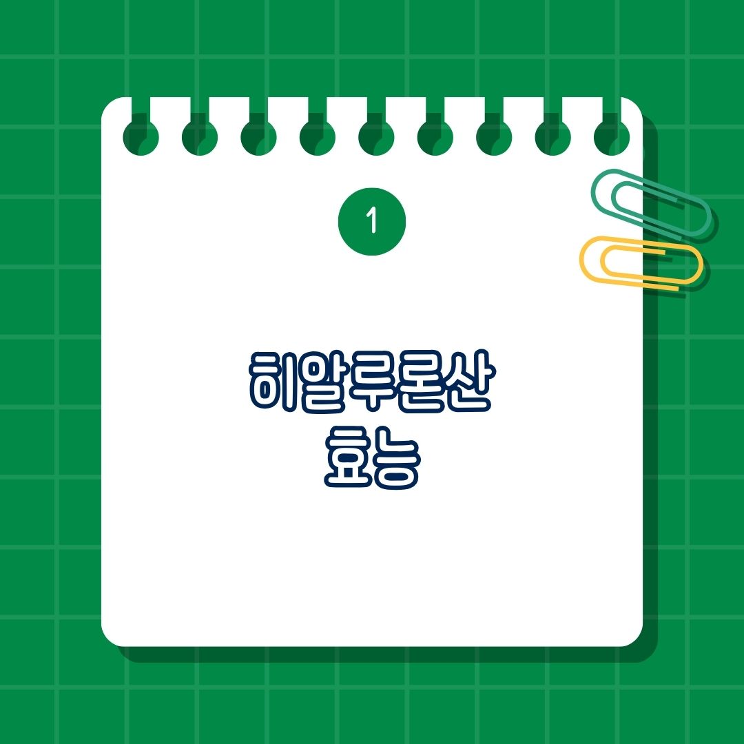 히알루론산(Hyaluronic Acid) 효능